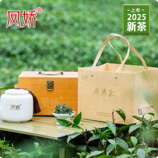 凤娇绿茶